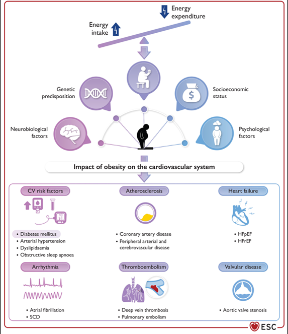 Obesity is a major risk factor for cardiovascular diseases: An ESC clinical consensus statement.